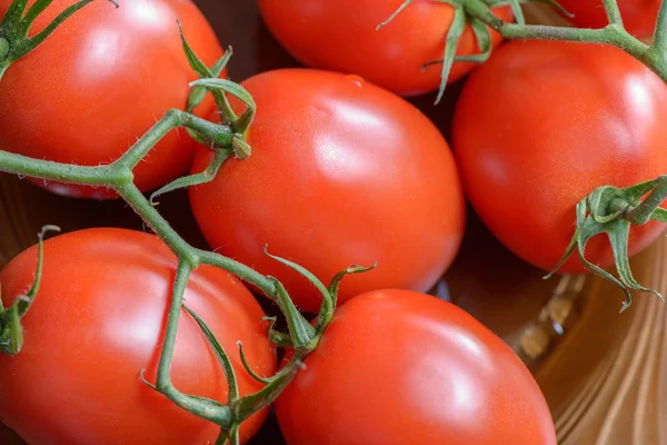 Reife rote Tomaten — Stockfoto