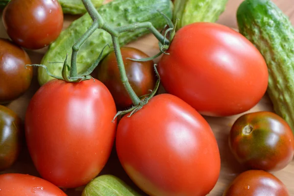 Reife rote Tomaten und Gurken — Stockfoto