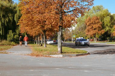 Sıcak bir sonbahar güneşli bir günde sarı ağaçlı şehir manzarası