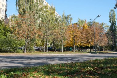 Konut binalarının önündeki parkta sararan ve düşen yapraklarla sonbahar eskizi