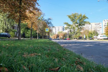 Konut binalarının önündeki parkta sararan ve düşen yapraklarla sonbahar eskizi