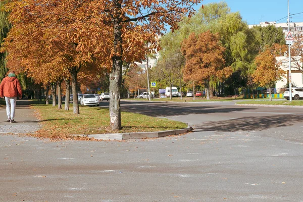 Paesaggio Urbano Con Alberi Ingialliti Una Calda Giornata Sole Autunnale — Foto Stock