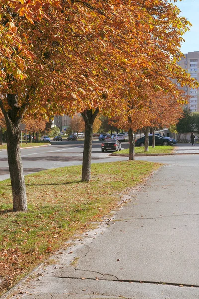 住宅の前の公園で黄色や紅葉と秋のスケッチの背景 — ストック写真