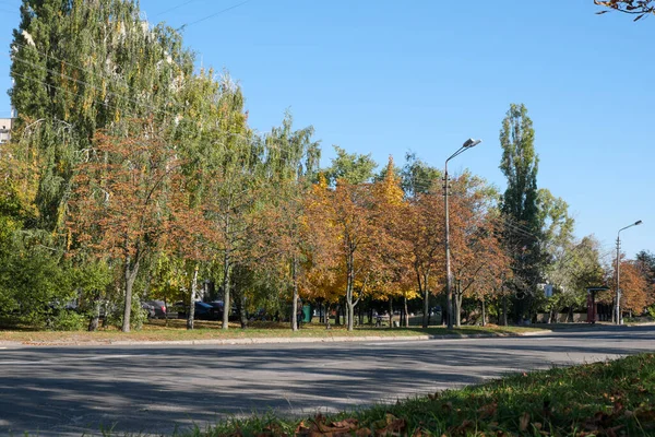 Cityscape Med Gulnade Träd Varm Höst Solig Dag — Stockfoto