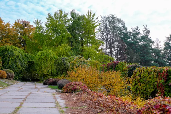 Parque Paisaje Colorido Otoñal Con Árboles Arbustos Con Hojas Colores — Foto de Stock