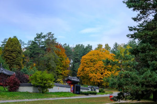 Осенний Красочный Ландшафтный Парк Деревьями Кустарниками Яркими Красочными Листьями — стоковое фото