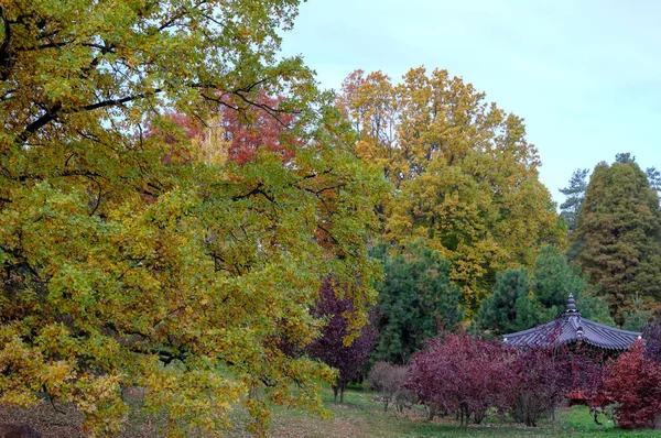 Herbst Farbenfroher Landschaftspark Mit Bäumen Und Sträuchern Mit Leuchtend Bunten — Stockfoto