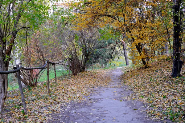 Parque Paisaje Colorido Otoñal Con Árboles Arbustos Con Hojas Colores — Foto de Stock