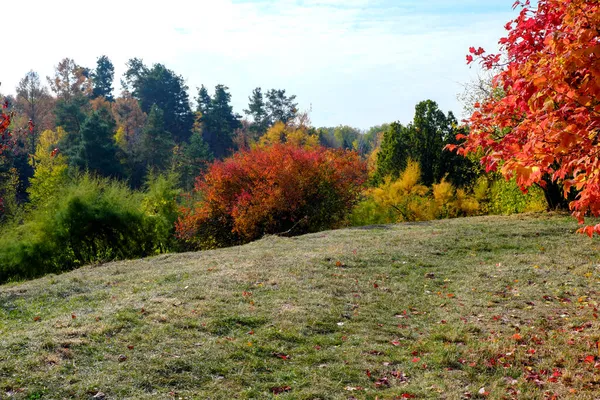 Outono Parque Paisagístico Colorido Com Árvores Arbustos Com Folhas Coloridas — Fotografia de Stock
