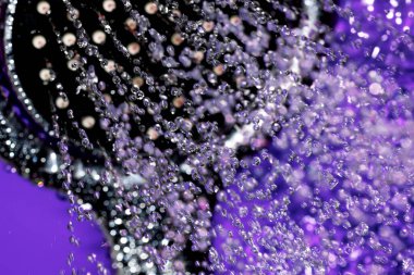 El banyosu başlığı, deliklerden akan su püskürtüleriyle yakın çekim makro fotoğrafçılık, kısa pozlama.