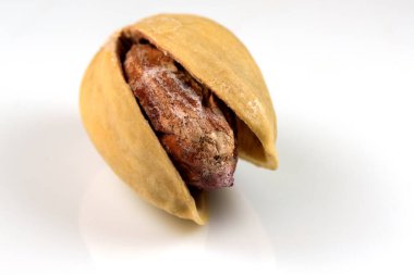 Beyaz yansıtıcı arka planda kavrulmuş şam fıstığı yakın plan makro fotoğraf.