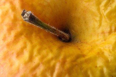 Sarkık sarı buruşuk elma vejetaryen yemekleri yakın çekim makro fotoğrafçılık.