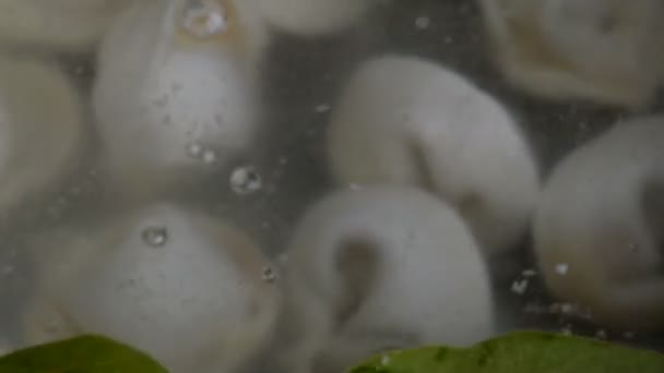 Куриные Равиоли Кипящие Кипящей Воде Лавровыми Листьями — стоковое видео