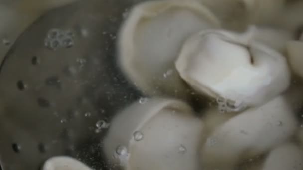 鸡丝在开水中与月桂叶一起煮沸 — 图库视频影像