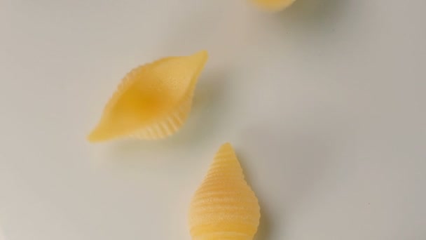 Durum Wheat Pasta Egg Form Seashells Close White Plate Video — Stock Video