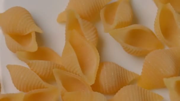Durum Wheat Pasta Egg Form Seashells Close White Plate Video — 图库视频影像