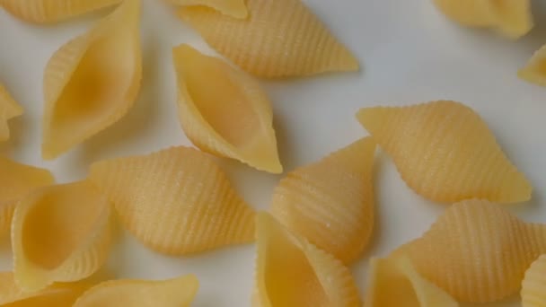 Durum Wheat Pasta Egg Form Seashells Close White Plate Video — Stock Video