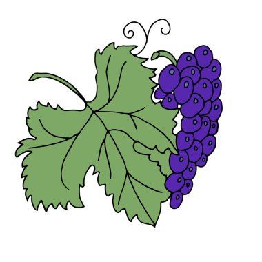Şeffaf bir arka planda yeşil yapraklı bir demet üzümün basit renkli meyve çizimi.