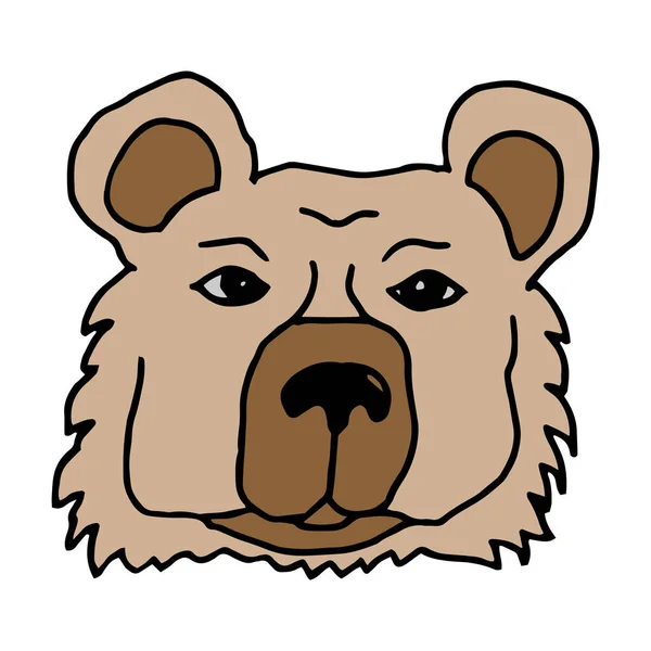 Cartoon Animal Vector Freehand Drawing Muzzle Brown Bear Light Background — Stock Photo, Image