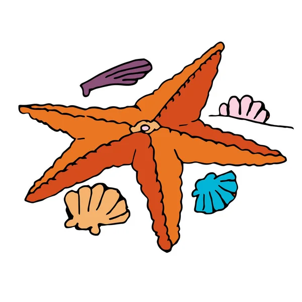 Humorous Cartoon Vector Freehand Drawing Sea Animals Starfish Blue Background — Stock Photo, Image