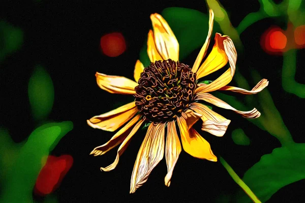 Konstnärlig Illustration Målning Digital Databehandling Fotot Vissnande Echinacea Blomma Närbild — Stockfoto