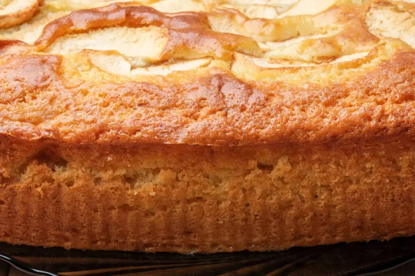 Delicious apple pie baked in the oven of a gas oven close-up macro photography