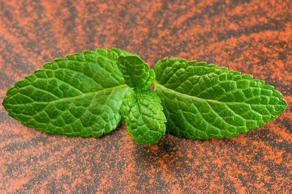 Tunas Muda Dan Daun Peppermint Aromatik Close Fotografi Makro — Stok Foto