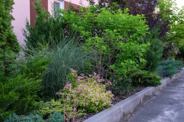 Doğal ekolojik çiçek ve bitki tasarımı elementleri bitkisel renkli arkaplan