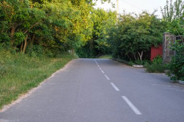 Parlak güneşli bir gün ile yaz kırsal orman manzarası