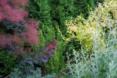 Doğal ekolojik çiçek ve bitki tasarımı elementleri bitkisel renkli arkaplan