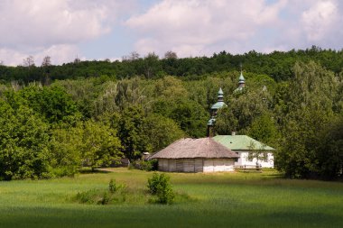 Yazın, güneşli bir günde yeşil bir hububat tarlası ve arka planda bir orman olan kırsal alan.