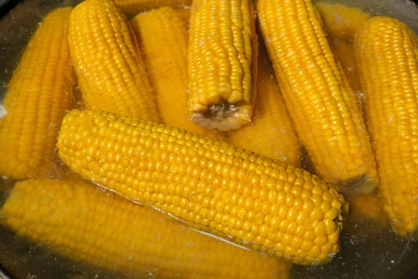 Sweet Young Yellow Boiled Corn Summer Picnic Close — Stock Photo, Image