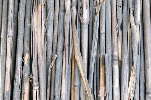 Background Old Withered Cane — Stock Photo, Image