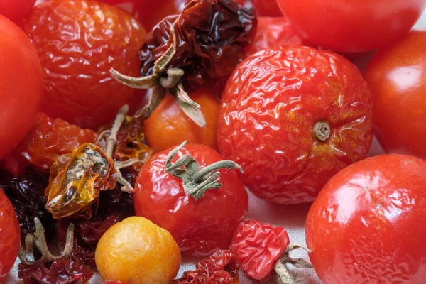 Sun Dried Dried Small Ripe Cherry Tomatoes Light Cloth Background — Fotografia de Stock