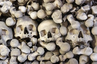 insan kemikleri yığını.