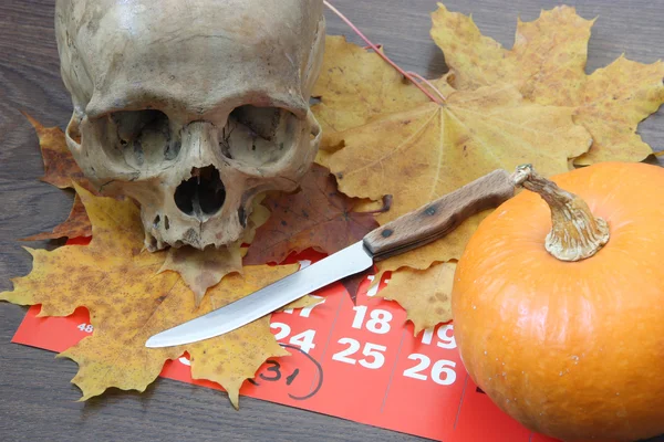 Skull and pumpkin. — Stock Photo, Image