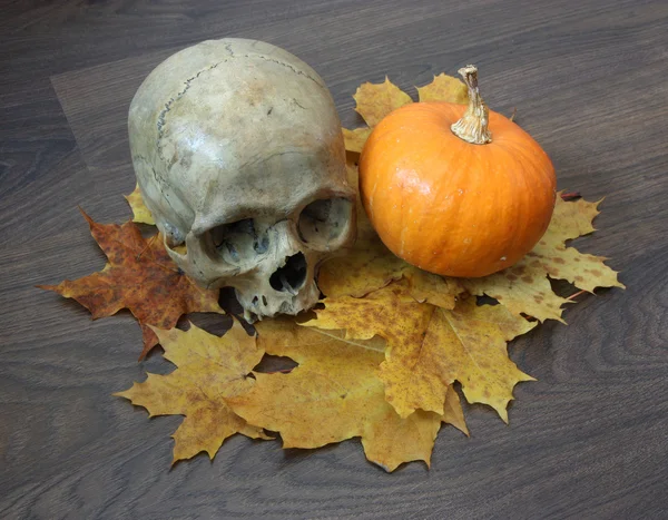 Skull and pumpkin. — Stock Photo, Image