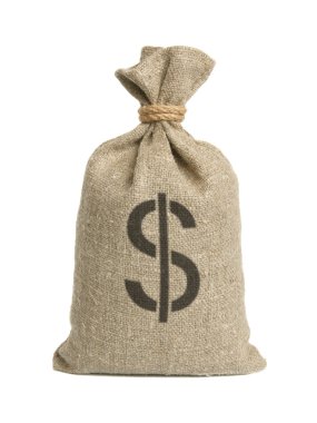 dolar ile çanta.