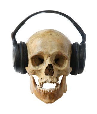 insan kafatası kulaklık.