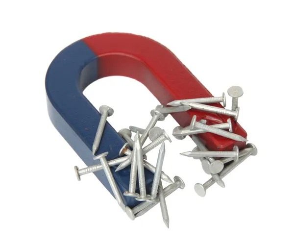 mıknatıs ve tırnak.