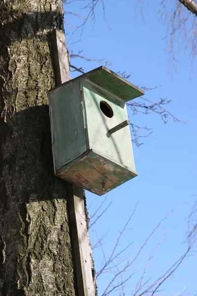 Vecchia casa uccello . — Foto Stock