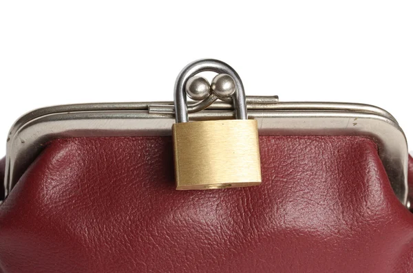 Closed wallet the padlock. — Stock Photo, Image