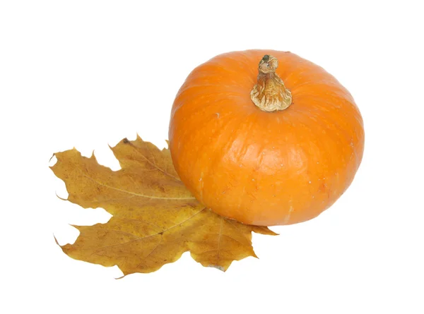 Pumpkin and maple leaf. — Stock Photo, Image