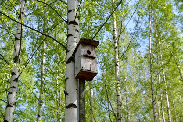 Oude vogel huis. — Stockfoto