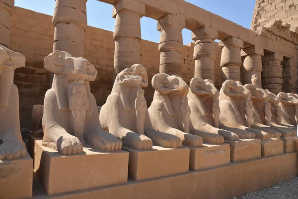 Luxor Mısır Karnak Tapınağı Kompleksi Sfenks Heykelleri — Stok fotoğraf