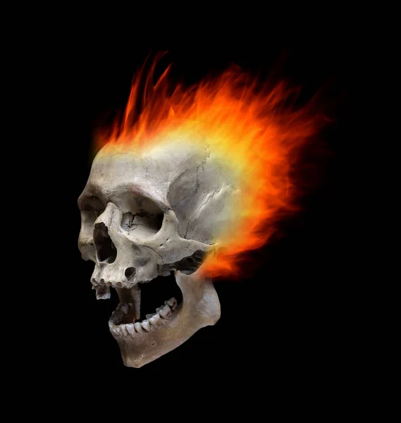 The human skull is on fire on a black background.