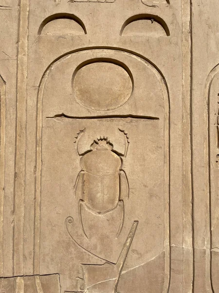 Geschnitztes Relief Des Scarabaeus Sacer Der Wand Des Karnak — Stockfoto