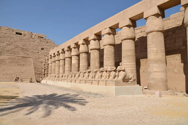 Luxor Mısır Karnak Tapınağı Kompleksi Sfenks Heykelleri — Stok fotoğraf