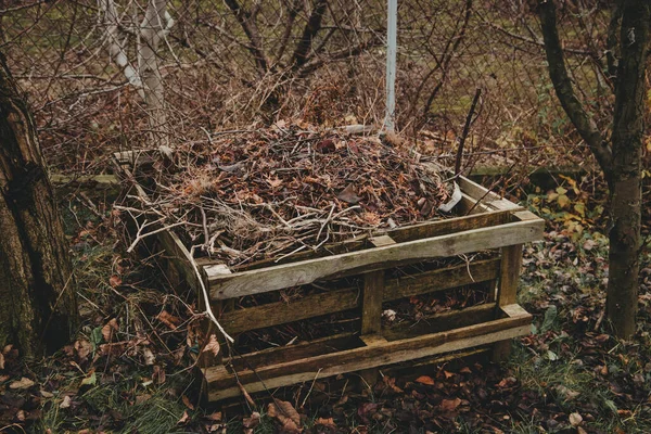 Composteur Palette Pour Les Restes Jardin Automne Après Saison — Photo