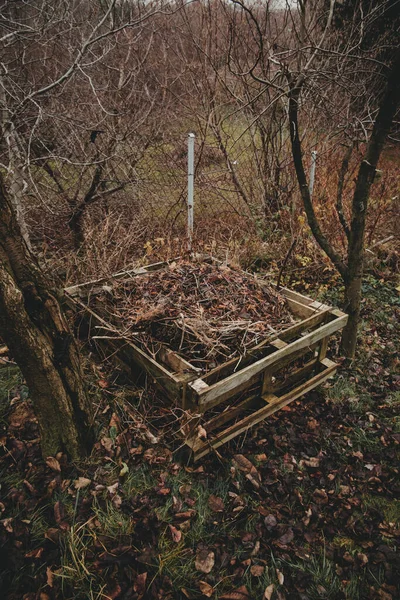 Composteur Palette Pour Les Restes Jardin Automne Après Saison — Photo